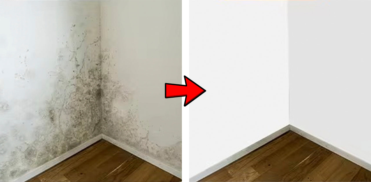 Rolă de Vopsea pentru Pereți Albi